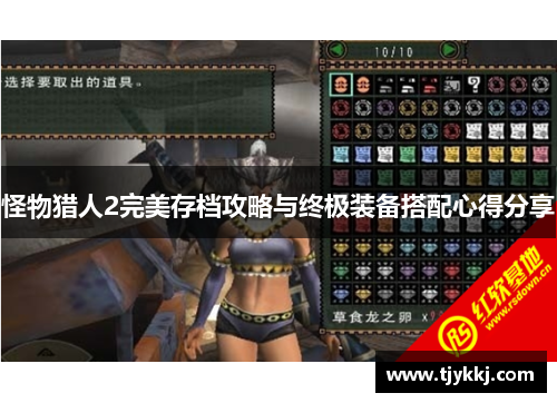 怪物猎人2完美存档攻略与终极装备搭配心得分享