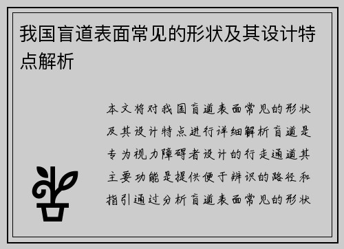 我国盲道表面常见的形状及其设计特点解析